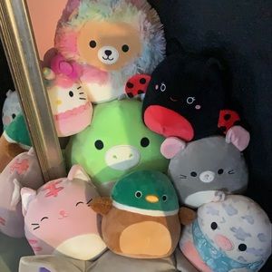 Meet your Posher, Teresa